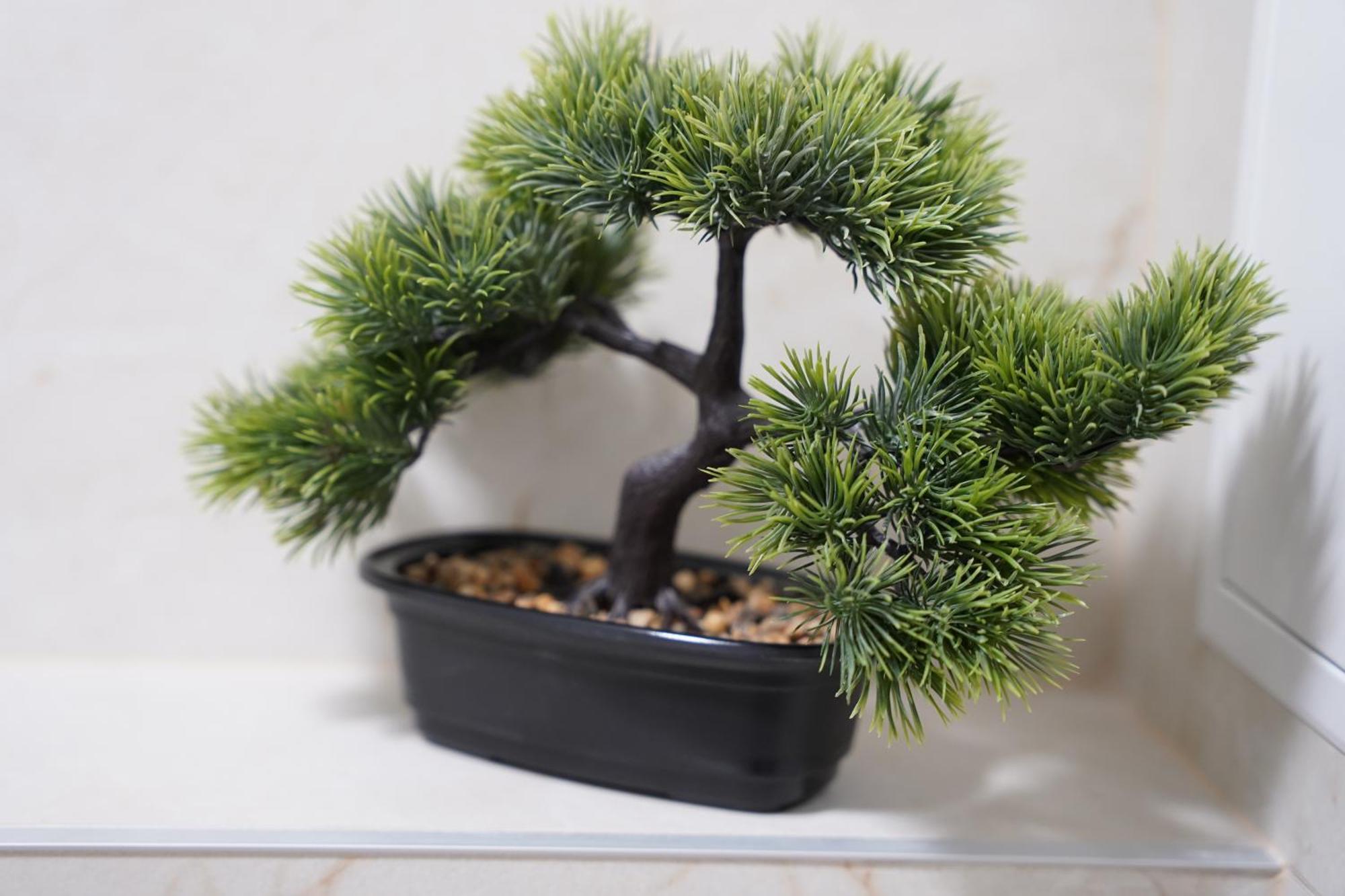 Studio Anna Panevezys Ngoại thất bức ảnh